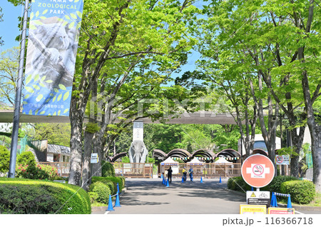 多摩動物公園 園内の風景 多摩動物公園 園内の風景 116366718