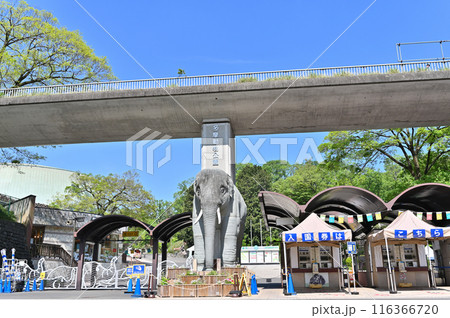 多摩動物公園 園内の風景 多摩動物公園 園内の風景 116366720