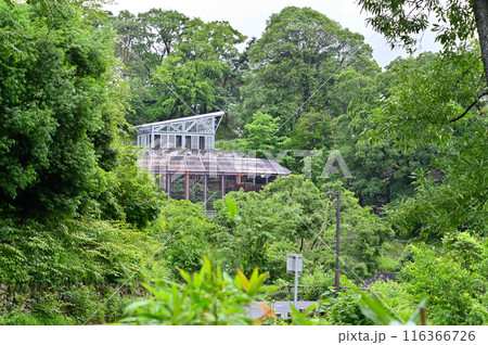多摩動物公園　園内の風景 116366726