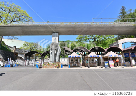 多摩動物公園　園内の風景 116366728