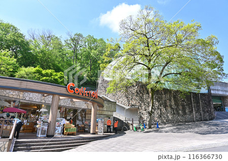 多摩動物公園　園内の風景 116366730