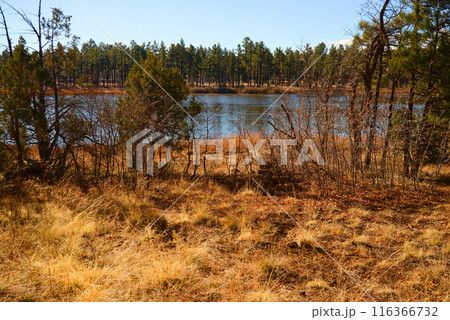Lake of the Woods Arizona 116366732