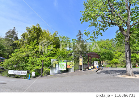 多摩動物公園　園内の風景 116366733