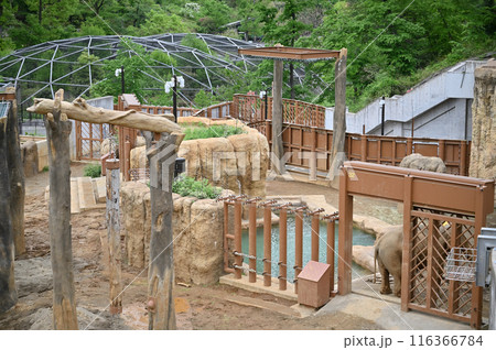 多摩動物公園 園内の風景 多摩動物公園 園内の風景 116366784