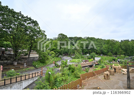 多摩動物公園 園内の風景 見晴デッキからの眺め 多摩動物公園 園内の風景 見晴デッキからの眺め 116366902