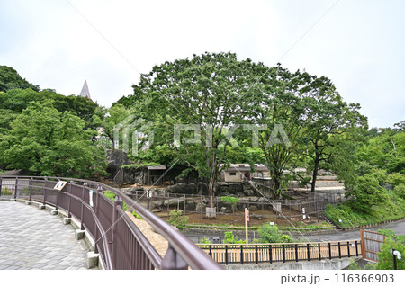 多摩動物公園　園内の風景　見晴デッキからの眺め 116366903