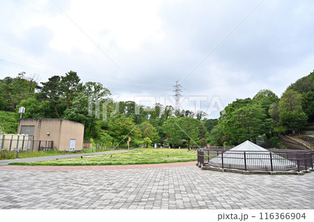 多摩動物公園 園内の風景 見晴デッキからの眺め 多摩動物公園 園内の風景 見晴デッキからの眺め 116366904