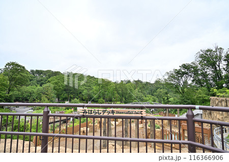 多摩動物公園 園内の風景 見晴デッキからの眺め 多摩動物公園 園内の風景 見晴デッキからの眺め 116366906