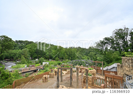 多摩動物公園　園内の風景　見晴デッキからの眺め 116366910