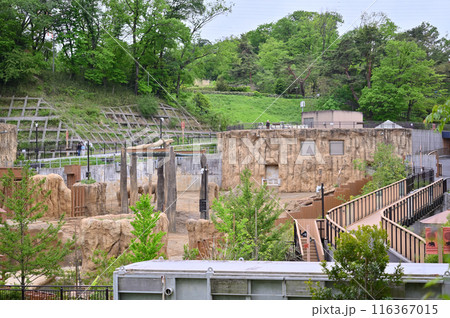 多摩動物公園 園内の風景 アジアゾウ 多摩動物公園 園内の風景 アジアゾウ 116367015