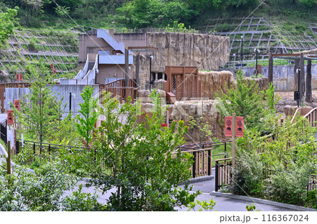 多摩動物公園　園内の風景　アジアゾウ　 116367024