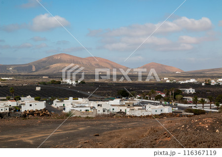 Landscape and white architecture, Lanzarote, Spain 116367119