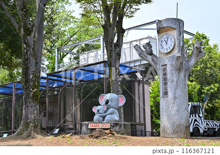 多摩動物公園　園内の風景 116367121