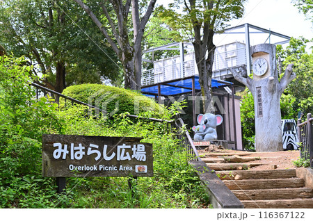 多摩動物公園　園内の風景 116367122
