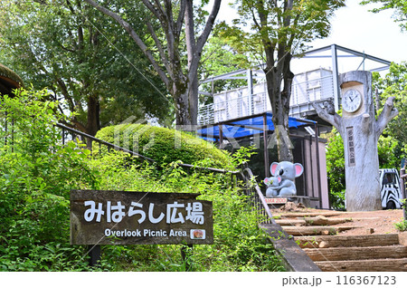 多摩動物公園　園内の風景 116367123