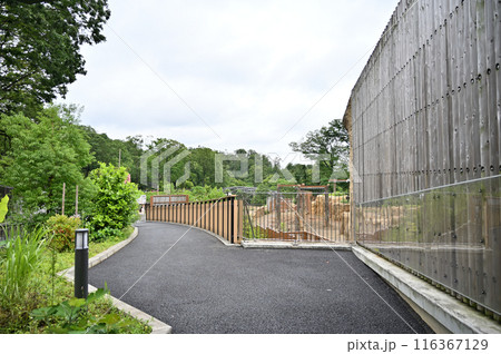 多摩動物公園 園内の風景 多摩動物公園 園内の風景 116367129