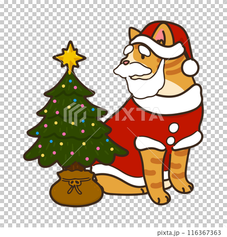 クリスマスツリーの横で座る可愛い茶トラ猫サンタクロースのイラスト 主線あり クリスマスツリーの横で座る可愛い茶トラ猫サンタクロースのイラスト 主線あり 116367363
