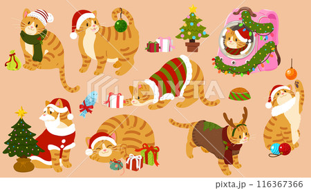 シンプルで可愛いクリスマスの茶トラ猫のイラストセット 主線なし シンプルで可愛いクリスマスの茶トラ猫のイラストセット 主線なし 116367366