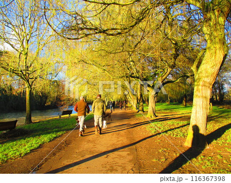 春の夕暮れの川と遊歩道 春の夕暮れの川と遊歩道 116367398