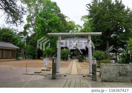 川津来宮神社と参道の鳥居 川津来宮神社と参道の鳥居 116367427