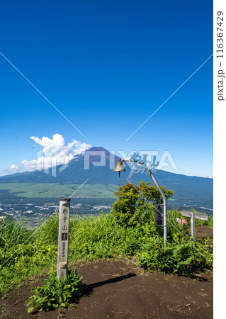 初夏の杓子山 初夏の杓子山 116367429