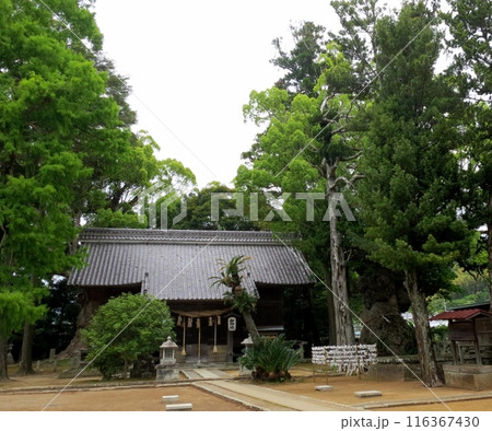 川津来宮神社と参道 川津来宮神社と参道 116367430