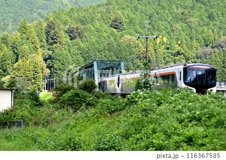 岐阜県加茂郡白川町_第ニ飛騨川橋梁1_2023年9月 116367585