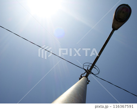 太陽と青空と電灯を見上げる 116367591