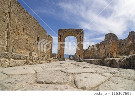 View of the historic ruined city of Pompeii in Italy with the volcano Vesuv View of the historic ruined city of Pompeii in Italy with the volcano Vesuv 116367695