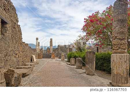 View of the historic ruined city of Pompeii in Italy with the volcano Vesuv 116367703