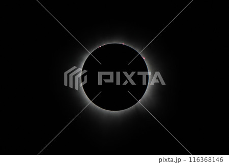 2024年4月8日アメリカ　テキサス州で撮影した皆既日食の太陽コロナと太陽プロミネンス 116368146