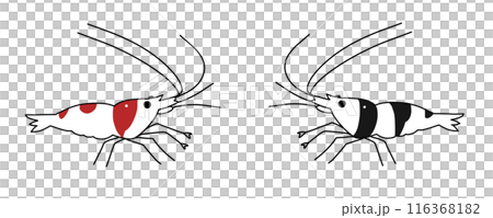 Cute bee shrimp illustration simple Cute bee shrimp illustration simple 116368182