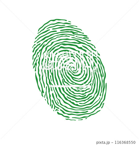 Fingerprint vector colored with the national flag of Saudi Arabia 116368550