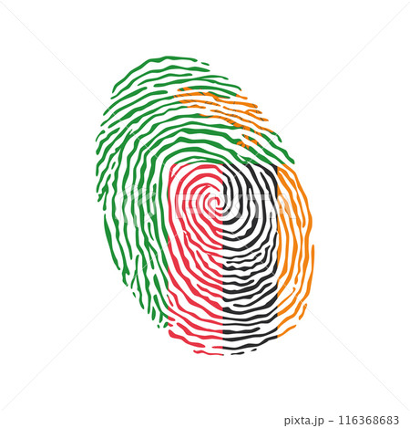 Fingerprint vector colored with the national flag of Zambia 116368683