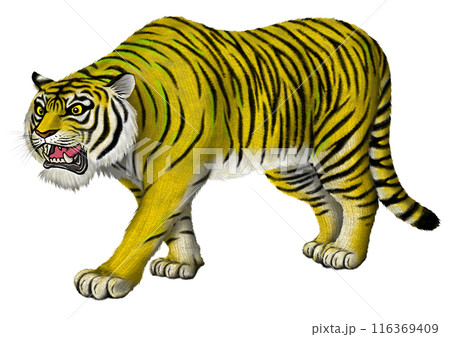 虎 虎 116369409
