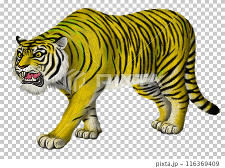 虎 虎 116369409