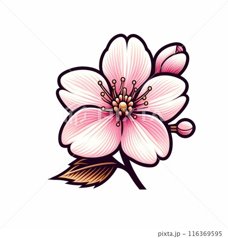 Elegant Sakura Flower / エレガントな桜の花 116369595