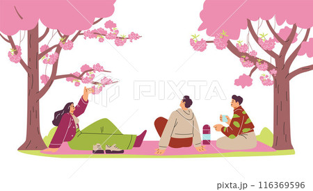 Vector illustration of friends celebrating hanami., having a picnic under the Sakura in a park. 116369596