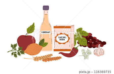 Vinegar and natural ingredients in flat style vector set. Vinegar and natural ingredients in flat style vector set. 116369735
