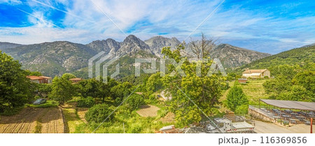 Panoramic picture of the Corsican mountain landscape during the day with a blue sky 116369856