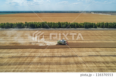 Aerial view of combine harvester harvesting wheat in a field on a sunny day 116370553