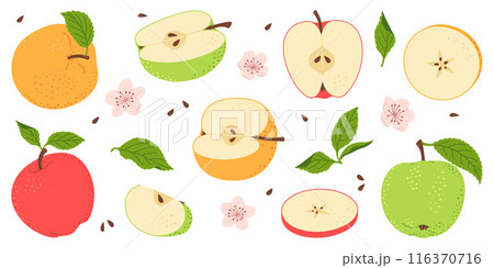 Set of Whole and sliced apples with green leaves and flowers flat style 116370716