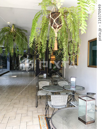 テラスカフェ 116370949