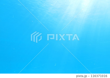 海水に光が差し込む　アクリル越し 116371016
