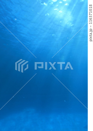海水に光が差し込む アクリル越し 海水に光が差し込む アクリル越し 116371018
