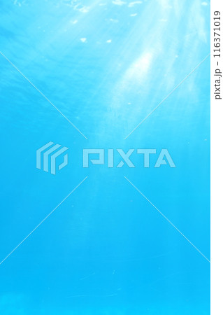 海水に光が差し込む アクリル越し 海水に光が差し込む アクリル越し 116371019