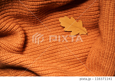 Cozy composition of autumn leaves and sweater. 116371141