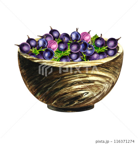 Black currant in a wooden bowl. Still life in a rustic style. Handmade watercolor illustrations. Isolates. For packages, labels and flyers. For banners, stickers. 116371274