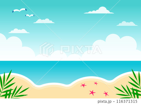 夏の海と砂浜 夏の海と砂浜 116371315