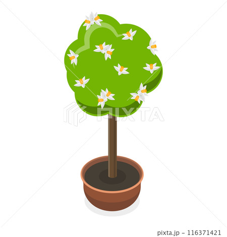 3D Isometric Flat  Set of Garden Flowers. Item 5 116371421